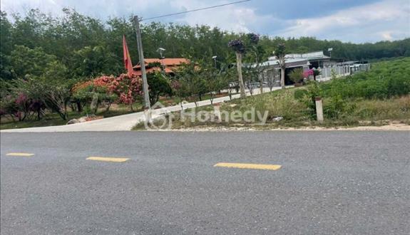 Chủ ngộp ngân hàng thạnh lý - Ảnh 1