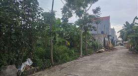 Tôi cần bán đất Phân Lô Ô tô Tránh tại Phú Xuyên gần sân Bay và Quốc lộ mới. - Ảnh 9