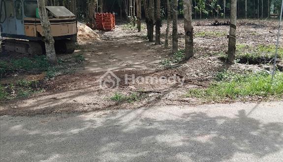 Bán đất mặt tiền buôn bán,tại phú giáo bình dương - Ảnh 1