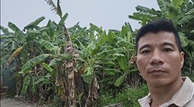 Tôi cần bán đất Phân Lô Ô tô Tránh tại Phú Xuyên gần sân Bay và Quốc lộ mới. - Ảnh 8