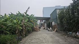 Tôi cần bán đất Phân Lô Ô tô Tránh tại Phú Xuyên gần sân Bay và Quốc lộ mới. - Ảnh 6