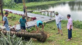 Bán nhanh 2 lô góc cuối cùng tại dự án Chine RiverSide tại trung tâm thị trấn  - Ảnh 15