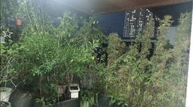 Siêu phẩm hiếm có - Nhà 4 tầng đẹp sang trọng  - Đường xe tải - Trung tâm Quận 2 - Ảnh 4