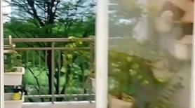Bán gấp căn hộ Sổ Hồng Ehome 3, 64m² ban công, Full Nội Thất Đẹp, View Công Viên Hồ Bơi - Ảnh 6