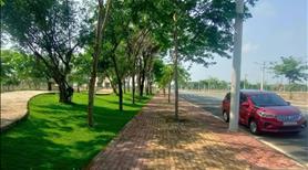 Chủ mới mua cần ra gấp lô đất ngay KCN Bàu Bàng, cách QL13 500m, đi xuống TTHC chỉ 15p, sổ sẵn. - Ảnh 3