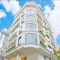 Bán tòa nhà CHDV đường Cửu Long, Phường 2, Tân Bình – thu nhập hơn 200tr/tháng