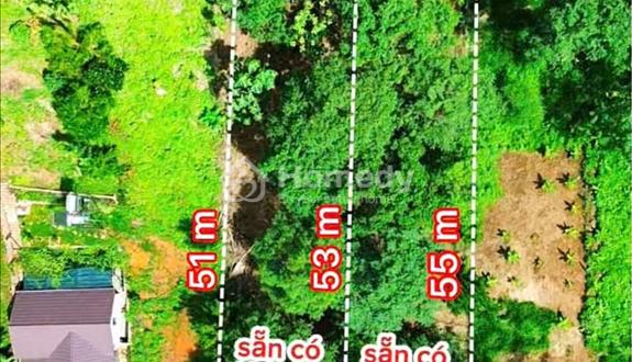 Bán 522m2 sẵn 100m2 thổ cư tại thôn 10A Lộc Thành - Ảnh 1