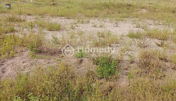 Cho thuê đất, nhà xưởng tại Ngọc Long. Yên Mỹ. Hưng Yên - Ảnh 1