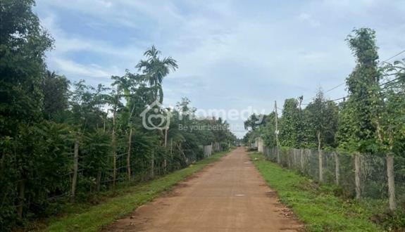 Ra đi nhanh đất nông nghiệp tại BMT - Ảnh 1