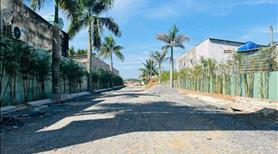 Đất vàng Long An giá sập sàn - Ảnh 2