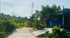 Bán 107m2 đất hẻm nguyễn tri phương - tân bình - lagi giá rẻ 650 triệu - Ảnh 4