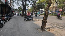 Bán nhà Đào Tần, Ba Đình, ngõ thông rộng, cách ô tô 50m, tặng nội thất giá chỉ 7.9 tỷ - Ảnh 2