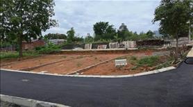 Bán đất giá rẻ phù hợp với học sinh sinh viên và các bà mẹ cho con bú - Ảnh 3