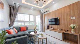căn hộ cao cấp gần trung tâm Sài Gòn view sông + đại lộ Võ Văn Kiệt và dòng Tham Lương - Ảnh 3