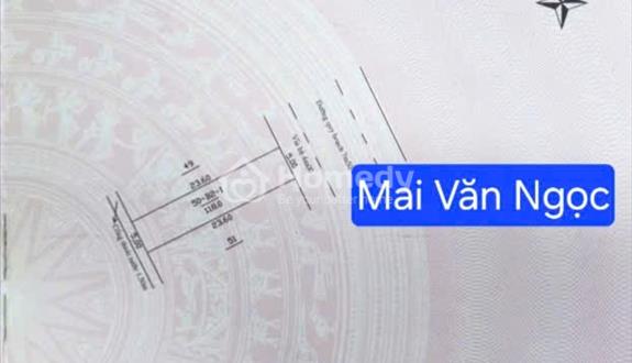 Bán đất đường mai văn ngọc - liên chiểu - đà nẵng. - Ảnh 1