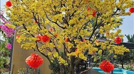 🌟Cần bán nhà vườn nghỉ dưỡng giá rẻ. - Ảnh 2