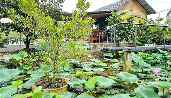🌟Cần bán nhà vườn nghỉ dưỡng giá rẻ. - Ảnh 1