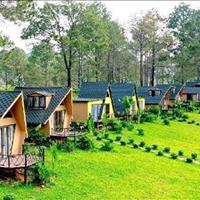  Cơ Hội Sở Hữu Đất Nghỉ Dưỡng 150 M² – Ngay Bà Rịa Vũng Tàu – Pháp Lý Minh Bạch 