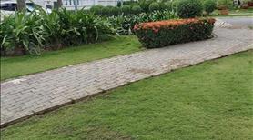 🌟🌟cần bán căn biệt thự góc 2 mặt tiền. - Ảnh 12