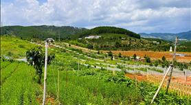 Bán đất Nam Hà 390 triệu, vị trí chính giữa sân bay và Đà Lạt - Ảnh 4
