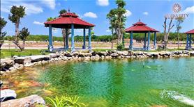 Bán Đất Nền Khu Đô Thị Alana TP. Hồ Chí Minh Mới - Sổ Sẵn Cầm Tay - Ảnh 3