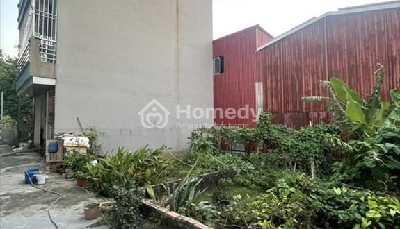 Bán gấp lô đất ô tô vào đầu Giáp Hải, diện tích to giá nhỏ - Ảnh 1