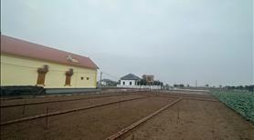 Bán nhanh lô đất siêu đẹp gần biển Quất Lâm-Cơ hội đầu tư sinh lời cao - Ảnh 3