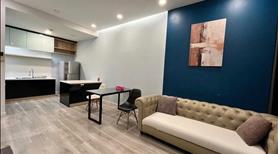 Chung cư Harmona,  Tân BÌnh:75m2, 2p ngủ, 2wc, Nội thất, 12,5tr/th - Ảnh 7