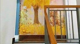 Chuyển Về Quê Bán gấp 58M2 ĐẤT ĐƯỜNG An Phú Tây Bình Chánh, SHR-GIÁ 980TR- LH 0793307901 - Ảnh 2