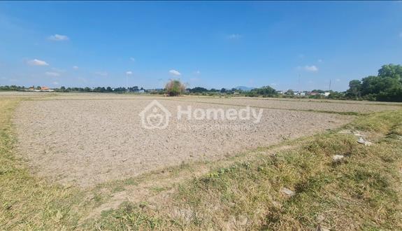 Đất Đẹp Nở Hậu 881,6m² Gần Biển LaGi, Quy Hoạch ONT, Sổ Sẵn, Giá Rẻ Đầu Tư Ngay - Ảnh 1