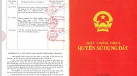 TCLN tiện SXKD chế biến gỗ, nông công nghiệp xả thải - Ảnh 3