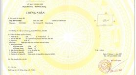 TCLN tiện SXKD chế biến gỗ, nông công nghiệp xả thải - Ảnh 4