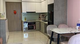 Chính chủ cho thuê căn hộ 2N1WC S201 full nội thất cao cấp 9.5 tr/th Vinhomes Smart City - Ảnh 3