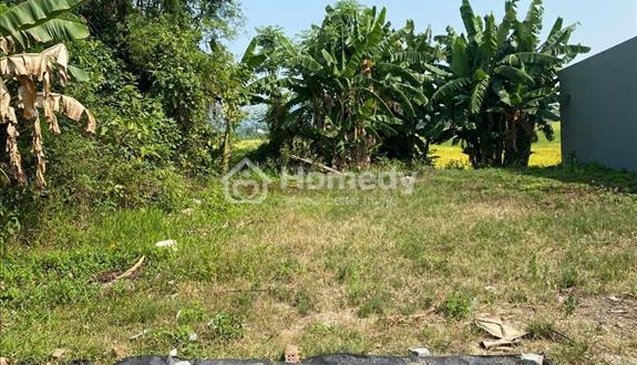 Cần Bán Gấp – Lô Đất Vườn Gần Đình Làng Yến Nê, Diện Tích 300m² –  Thích Hợp Làm Nhà Vườn - Ảnh 1