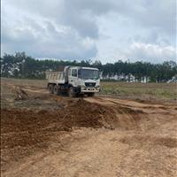 Cho thuê 45.000m² đất trống An Long TP.HCM gần KCN Becamex, giá 20tr/tháng