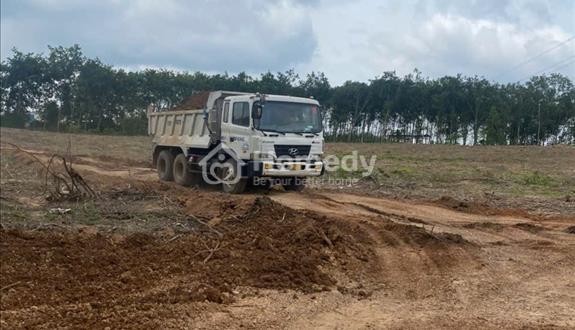 Cho thuê 45.000m² đất trống An Long TP.HCM gần KCN Becamex, giá 20tr/tháng - Ảnh 1