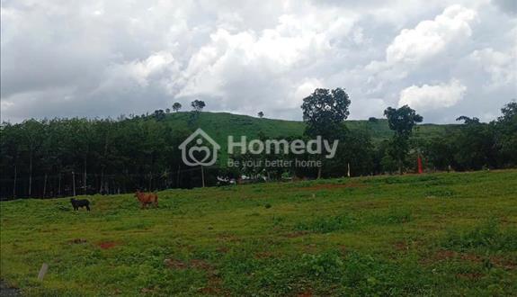 🏡 Đất giá rẻ gần hồ Đá Bàng - Thành phố Bà Rịa🏡 - Ảnh 1