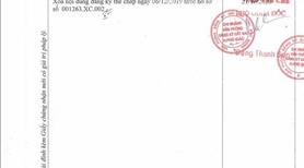 Cho thuê 45.000m² đất trống An Long TP.HCM gần KCN Becamex, giá 20tr/tháng - Ảnh 8