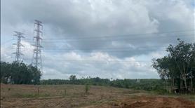 Cho thuê 45.000m² đất trống An Long TP.HCM gần KCN Becamex, giá 20tr/tháng - Ảnh 4