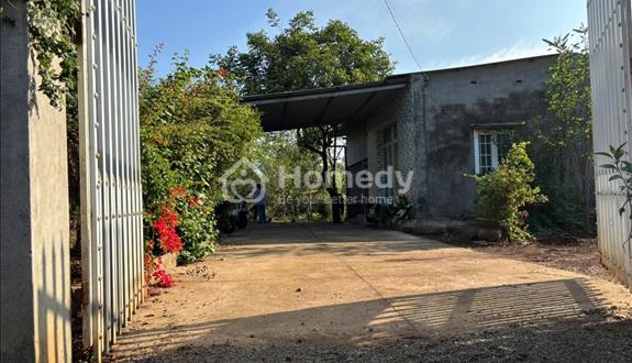 Bán đất vườn 3.700m², tại Thống Nhất, cách TP.HCM chỉ khoảng 1 giờ, gần Dầu Giây, Long Khánh - Ảnh 1