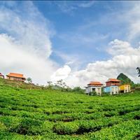 Chính chủ cần vốn kinh doanh bán đất tại bản chiềng đi 