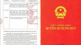 Cho thuê đất trống CLN tại Xã An Long, Tp. Hồ Chí Minh giá 20tr DT 4,5 ha - Ảnh 4