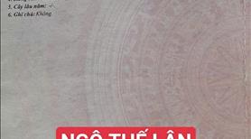 - bán đất 113,5m² tặng dãy trọ 6 phòng, mt đường 7m5 ngô thế lân, sau bến xe, hoà an, cẩm lệ, đà - Ảnh 3