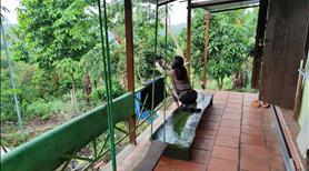 1 sào đất vườn view sông La Ngà, trái cây đủ loại  - Ảnh 10
