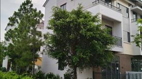Căn Góc- Công Viên trước nhà- Ngã Tư 3 mặt thoáng- KĐT Centa City. Giá chính chủ - Ảnh 2
