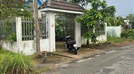Bán đất tặng nhà Bình Chánh sổ hồng riêng - Ảnh 3