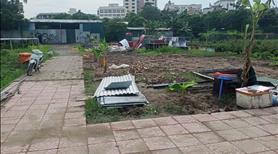 Rộng quá cho thuê lại 500m làm kho xưởng hoặc chăn nuôi - Ảnh 3