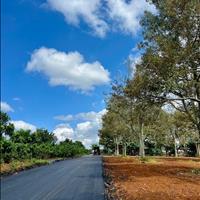 Siêu phẩm đẹp gần kề sân bay quốc tế liên khương Đức Trọng Lâm Đồng