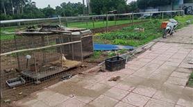 Rộng quá cho thuê lại 500m làm kho xưởng hoặc chăn nuôi - Ảnh 4