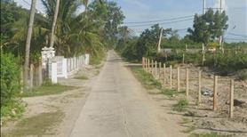 Bán đất tặng nhà tại thôn Hang Dơi, đường QH 26m - Ảnh 2